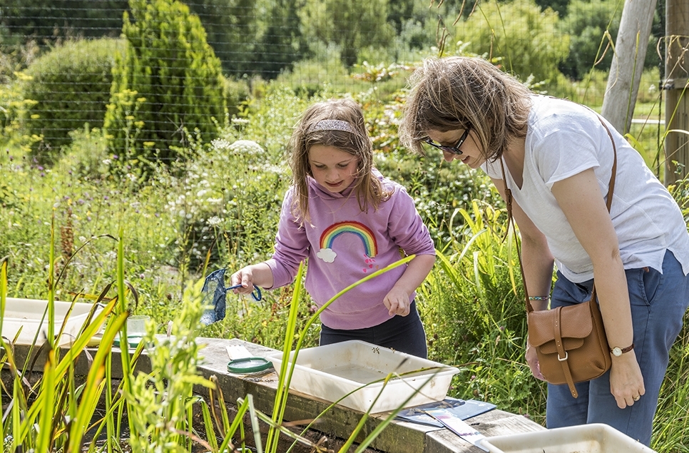 Pond dipping - relaxed 966x635.jpg